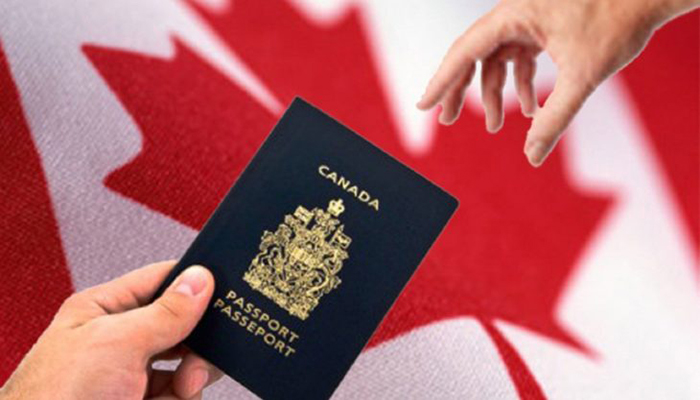 نحوه و انواع درخواست برای دریافت ویزا کانادا